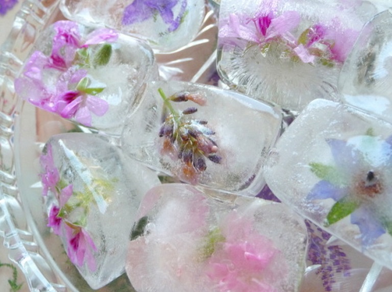 Fresh Flower & Herbs Ice Cubes
