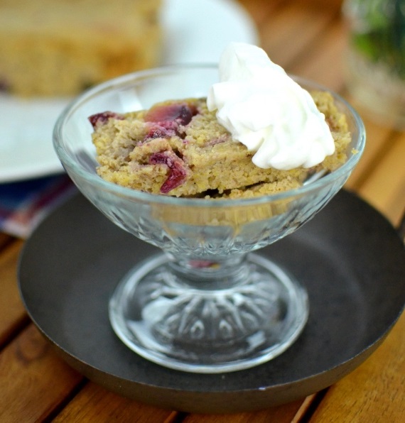 Plum and Dried Cranberry Indian Pudding