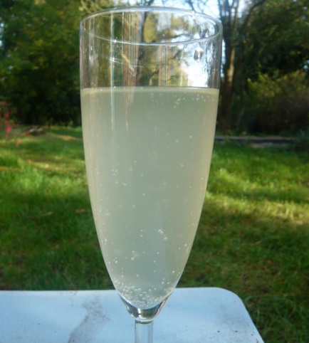 Homemade Gooseberry Champagne