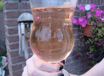 Homemade Rhubarb Champagne