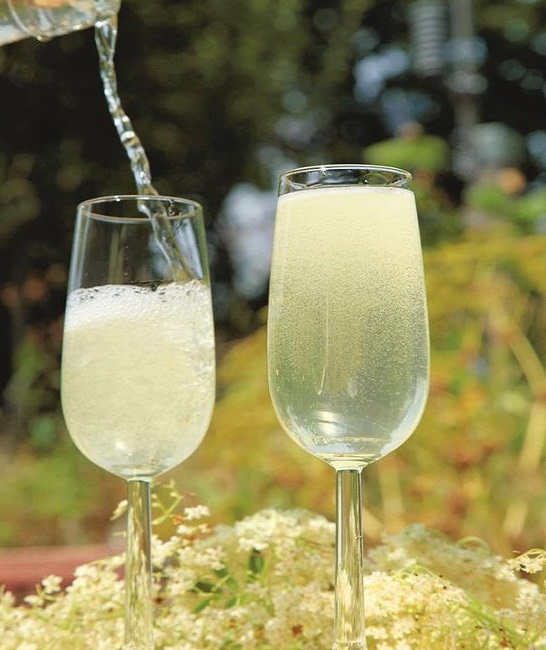 Homemade Elderflower Champagne