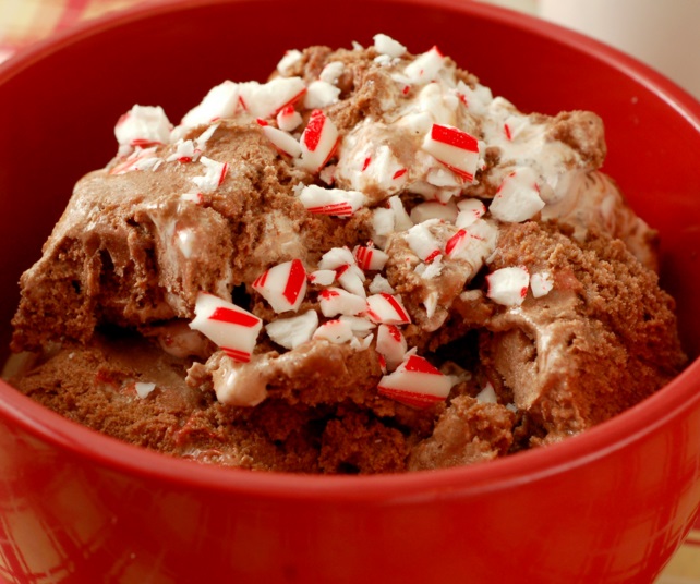 Christmas Peppermint & Hot Chocolate Ice Cream