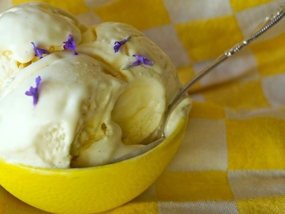 Lemon-Lavender Frozen Custard
