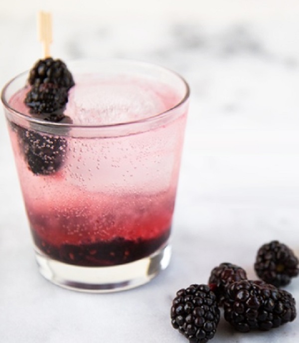 Blackberry Gin Fizz Cocktail