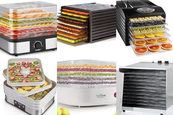 Ten of the Very Best Fruit Dehydrators You Can Buy Right Now