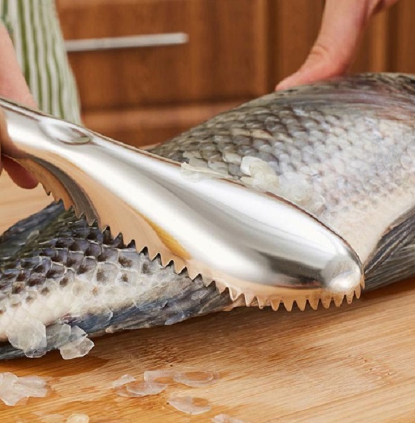 Stainless Steel Fish Skin Scraper