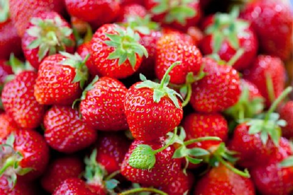 Ten Amazing Facts About Strawberries You Won't Believe Are Real