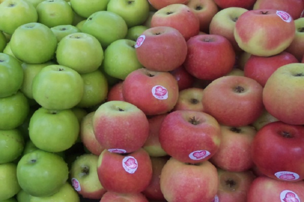 Ten Amazing Facts About Apples You Won’t Believe Are Real