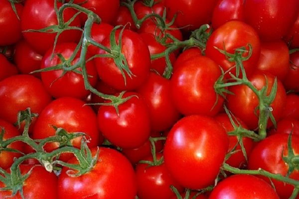 Ten Amazing Facts About Tomatoes You Won’t Believe Are Real