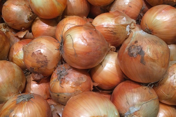 Ten Amazing Facts About Onions You Won’t Believe Are Real