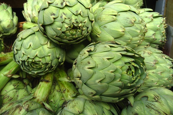Is Artichokes Known to Reduce the Risk of Cancer?