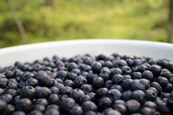 Is Blueberries Known to Reduce the Risk of Cancer?