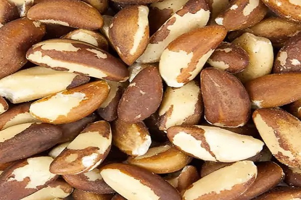 Is Brazil nuts Known to Reduce the Risk of Cancer?