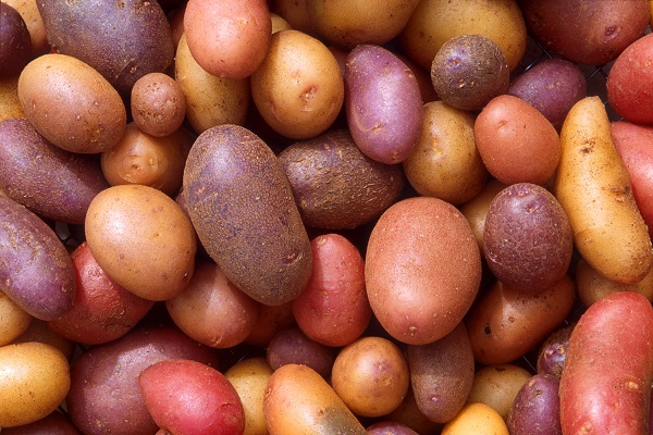 Ten Amazing Facts Potatoes You Won't Believe Are Real