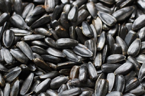 Did You Know Sunflower Seeds Can Stimulate Hair Growth?