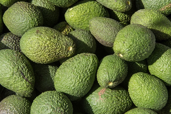 Did You Know Avocados Can Stimulate Hair Growth?