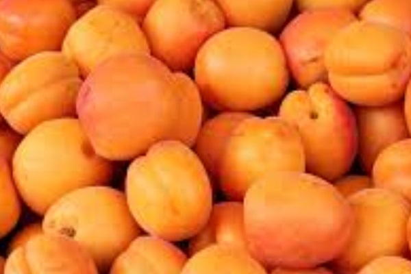 Did you Know Apricots is Good For Your Nails?