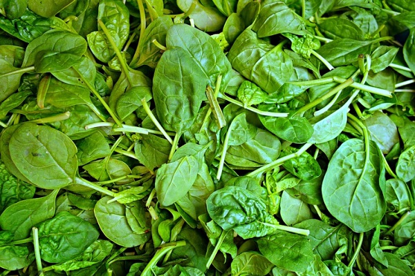 Did you Know Spinach is Good For Your Nails?