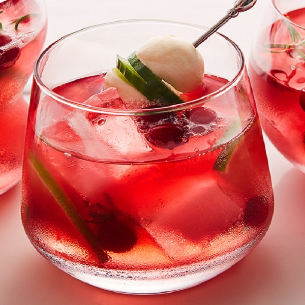 Cranberry & Bocconcini Gin and Tonic