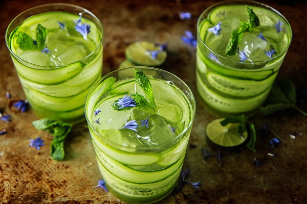 Cucumber Mint Gin and Tonic