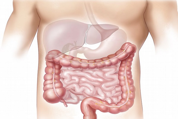 Ten Food and Drinks That Are Known to Help Cure Digestive Conditions