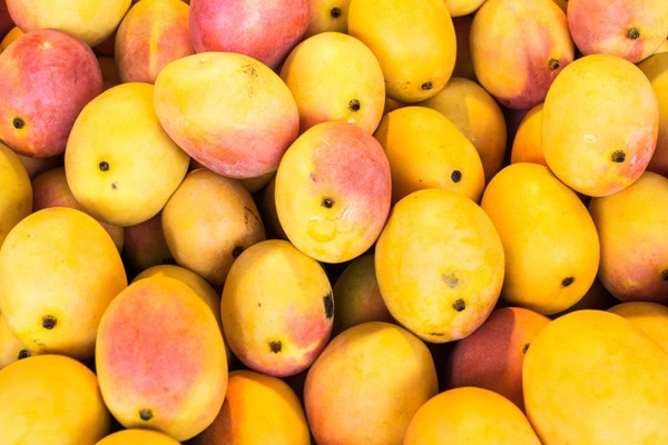 Ten Food and Drinks You Can Make With a Mango