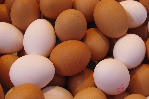 Can Eggs Make You Stronger?