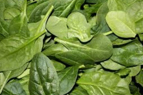 Can Spinach Make You Stronger?