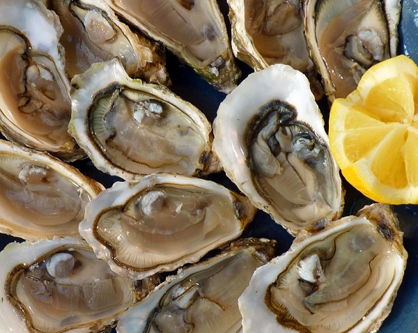 Did You Know Oysters Are An Aphrodisiac?