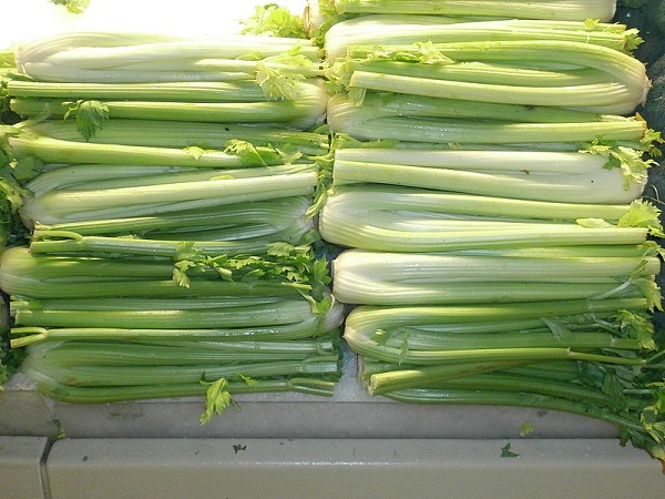 Did You Know Celery Is An Aphrodisiac?