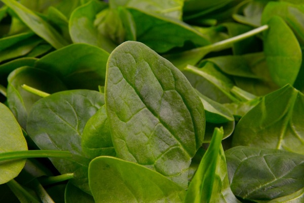 Did You Know Spinach Can Help Relief Stress?