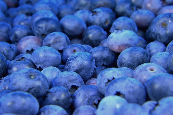 Did You Know Blueberries Can Help Relief Stress?