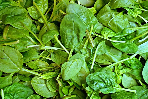Does Spinach Have Long-Term Health Benefits?