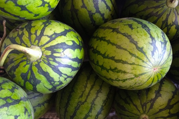 Ten Amazing Facts About Watermelon You Won’t Believe Are Real