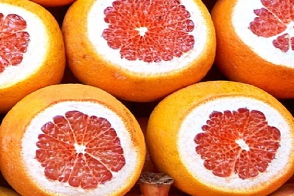 Ten Amazing Facts About Grapefruits You Won’t Believe Are Real