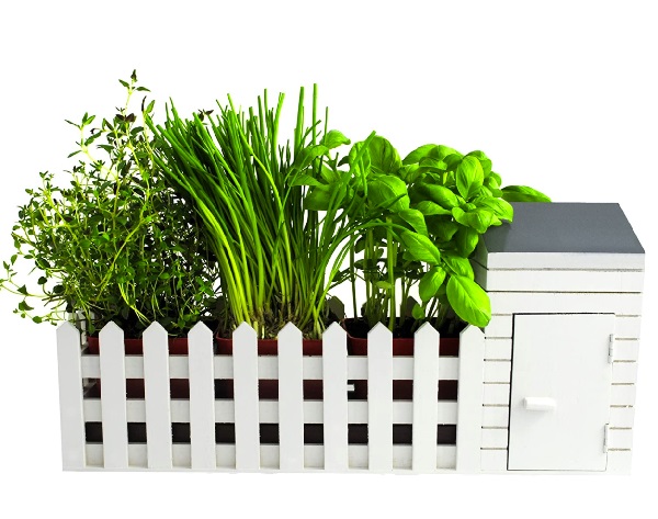 Ten of the Very Best Indoor Herb Gardens Money Can Buy in 2021
