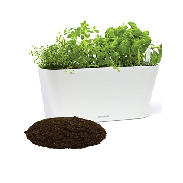 Aquaphoric Indoor Herb Garden Kit