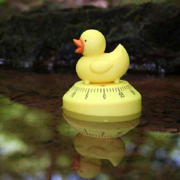 Ten Amazing Duck Kitchen Gadgets That are Simply Quackers