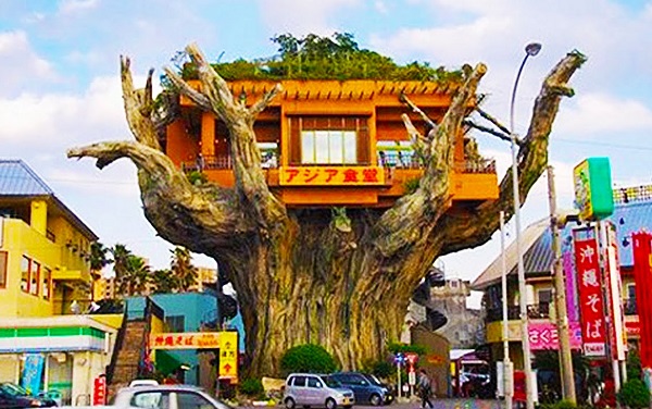 Tree House Restaurant, Naha, Japan