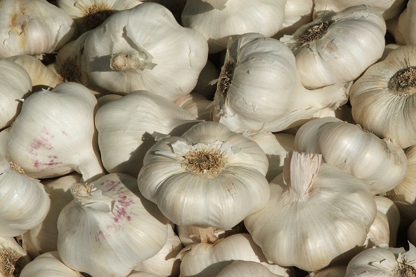 4. Garlic