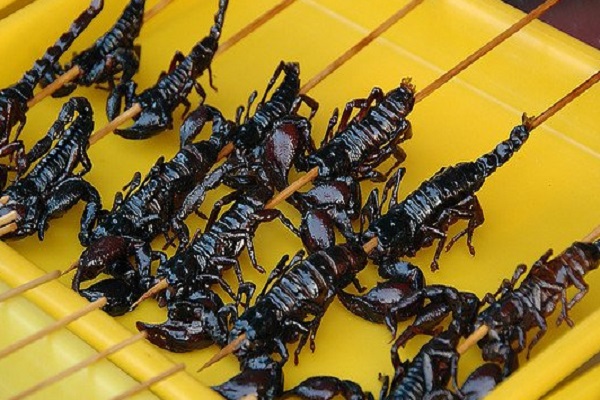 Skewered Scorpions