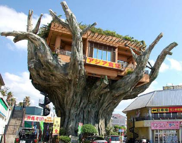 Ten of The Worlds Most Beautiful Tree House Restaurants