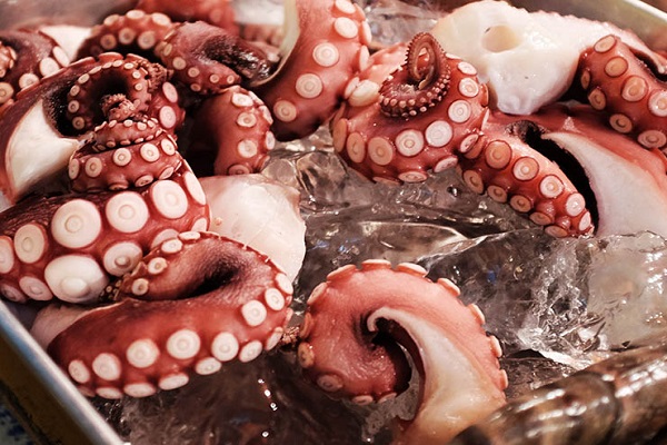 Ten Dangerous and Disgusting Foods That Are Astonishingly Expensive