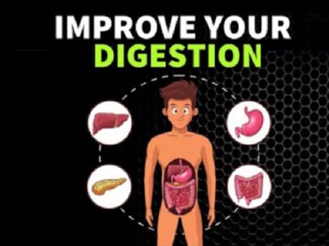 Ten Food Types That Will Improve Your Digestion