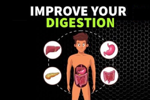 Ten Food Types That Will Improve Your Digestion