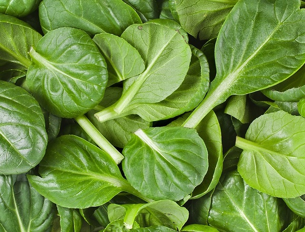 Spinach (20 mg – per 100 Grams)