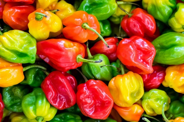 Ten Amazing and Interesting Health Benefits of Peppers