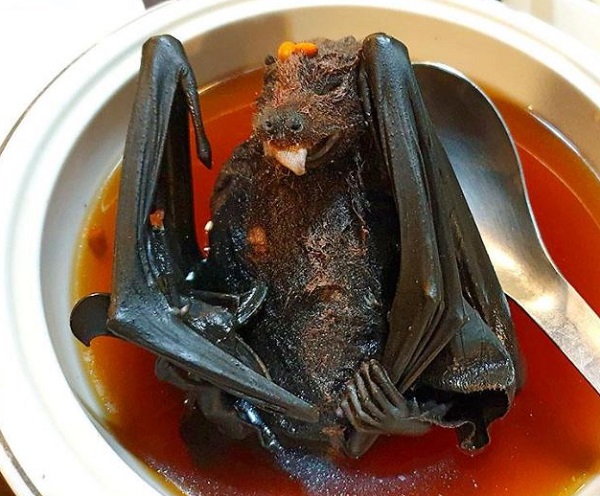 Ten of The Most Bizarre Soups from Around the World