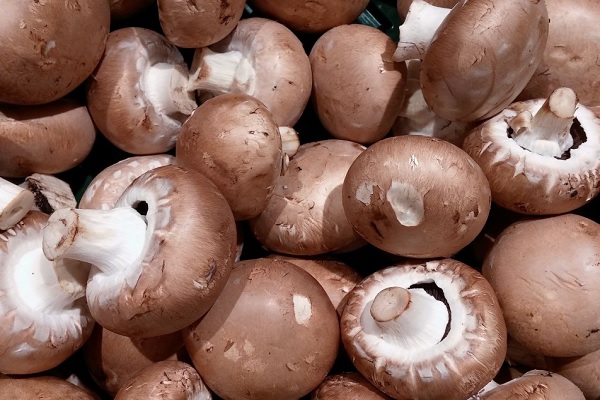 Ten Little Known Health Benefits Of Mushrooms