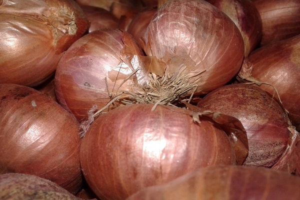 Ten Surprising and Interesting Dietary Facts About Onions